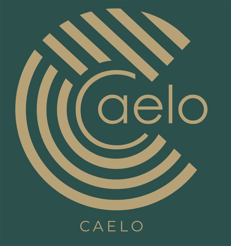 logo-caelo.jpg