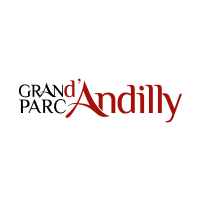 andillyquadri