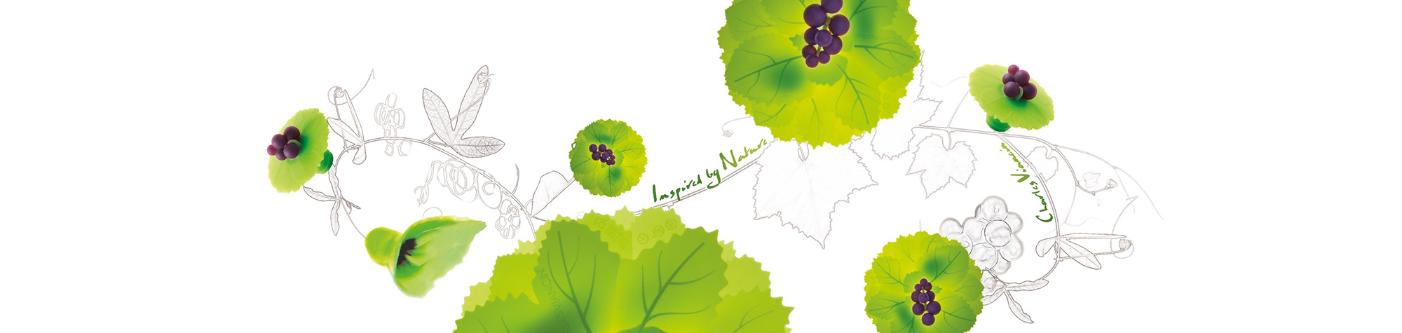 charles-viancin-banner