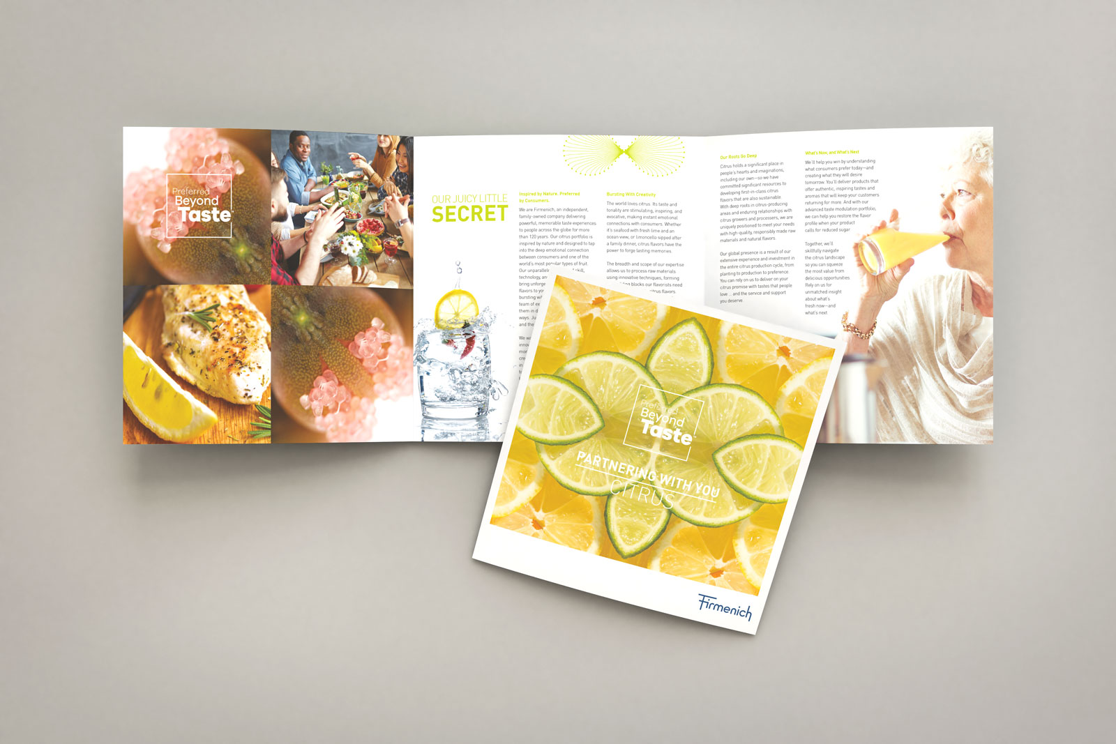 Brochure