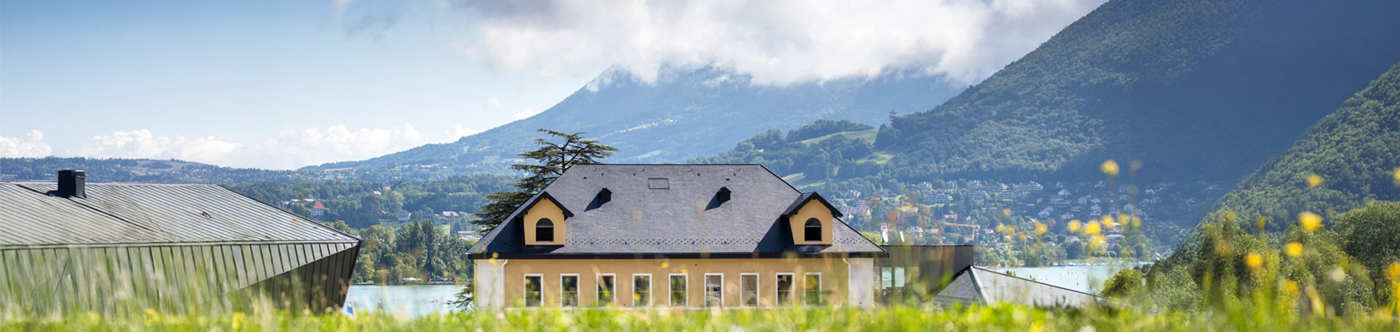 hotel-pelican-banner-3