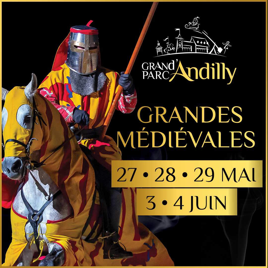 les-medievales-chevalier-jaune