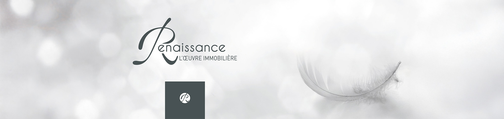 renaissance-banner-2